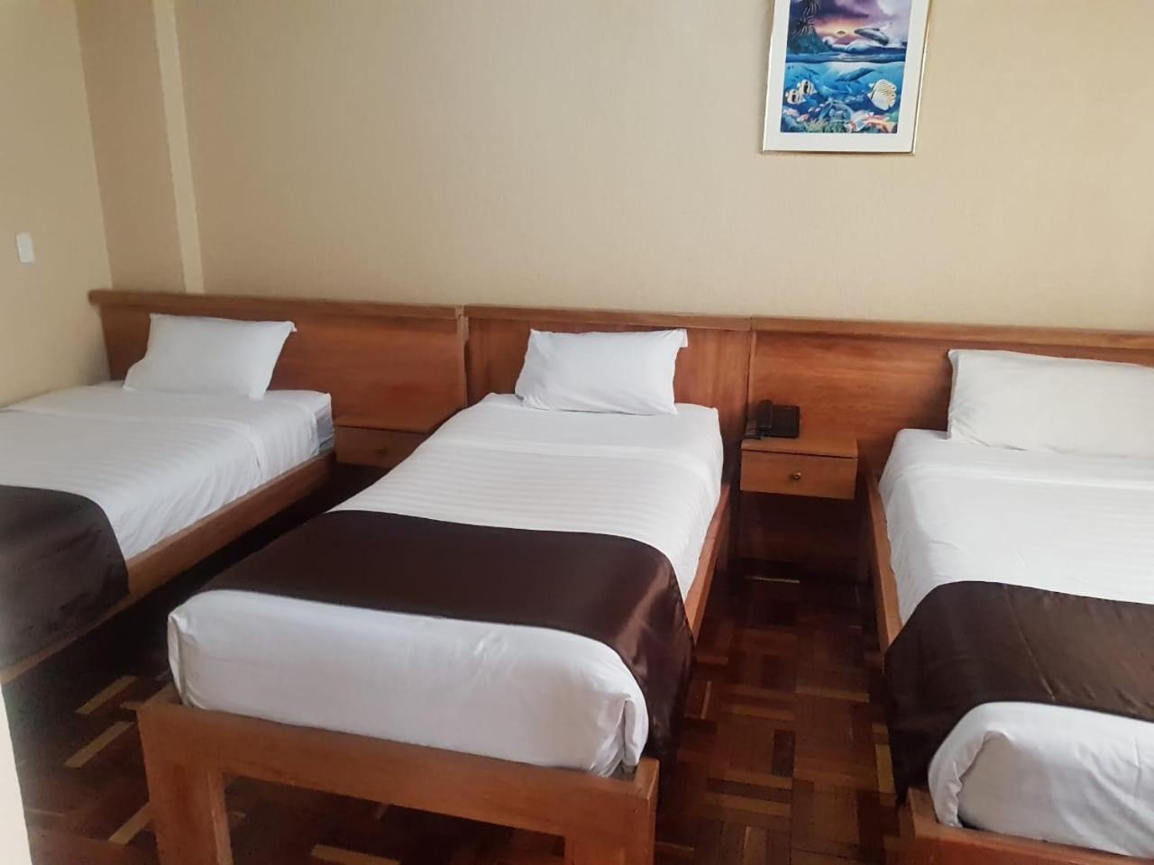 Hostal Loro Verde Quito Eksteriør bilde
