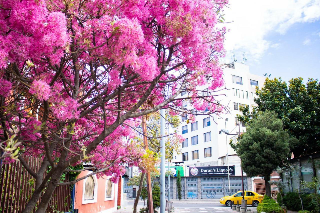 Hostal Loro Verde Quito Eksteriør bilde
